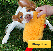 photo link to store
