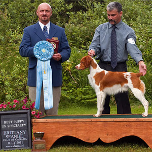 photo: Tuco won National Specialty's Best Puppy
